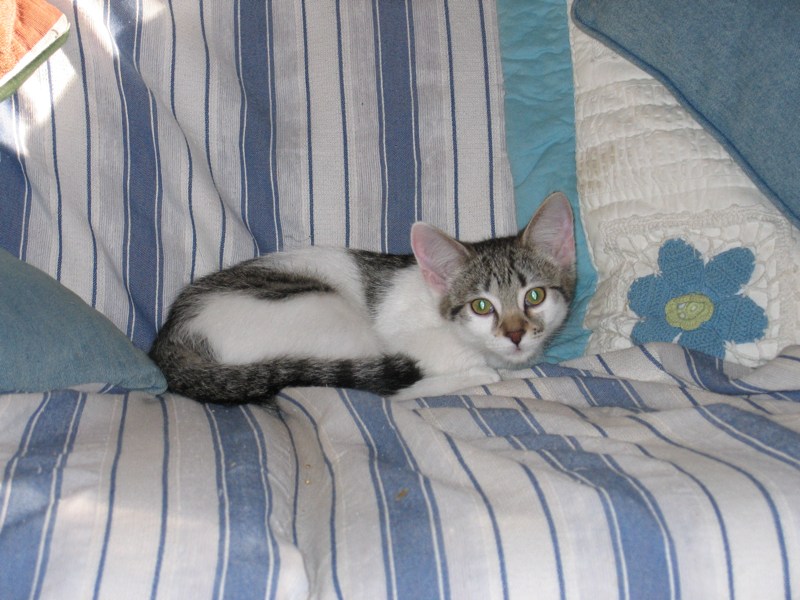 Looking little