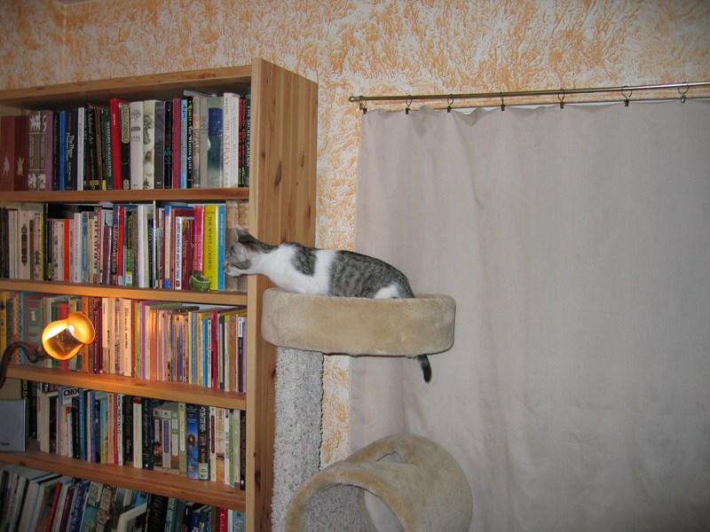 Not on the bookshelf