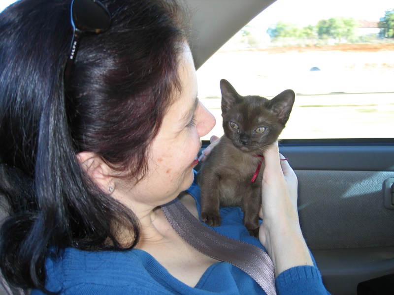 Elinor gets a turn