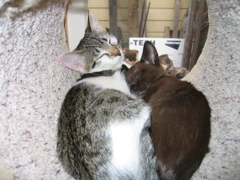 Afternoon nap