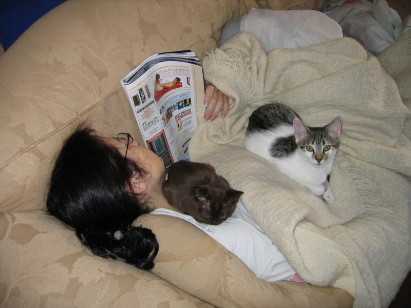 Nap watchers