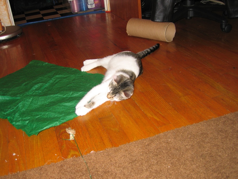 Fun With Tissue Paper, part 1