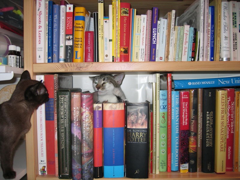 Literary Kitty, part 2