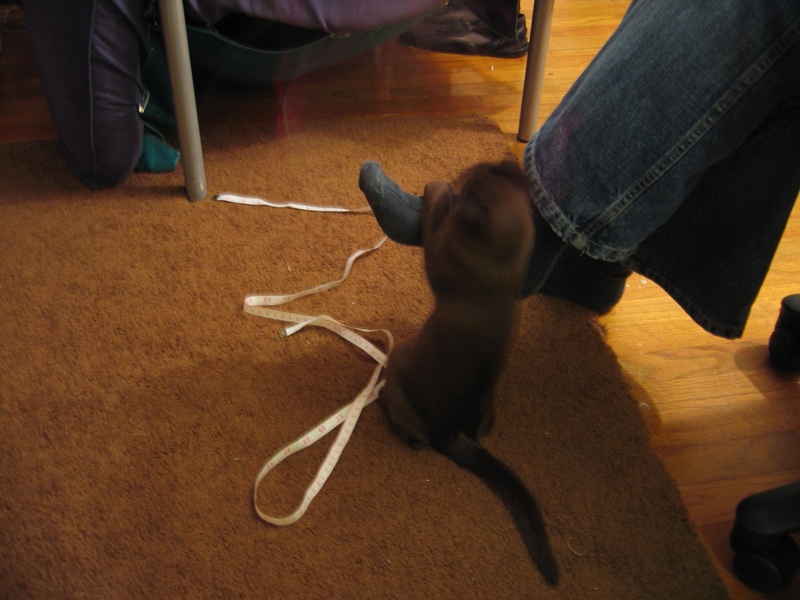 Sylvie attacks Valerie's foot