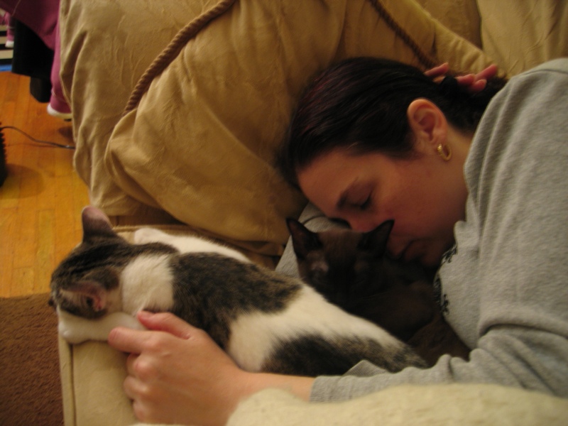 Afternoon nap, part 1