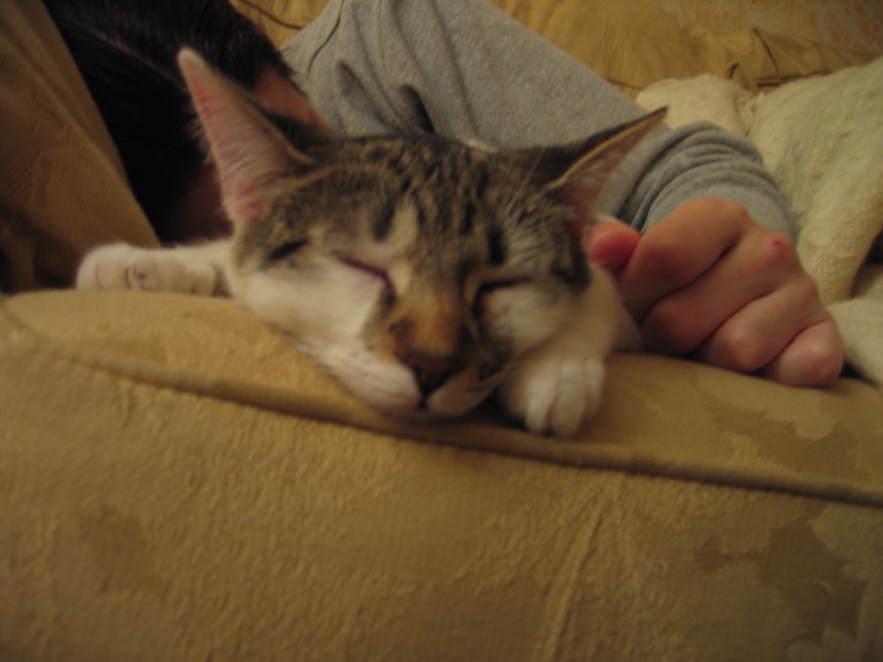 Afternoon nap, part 2