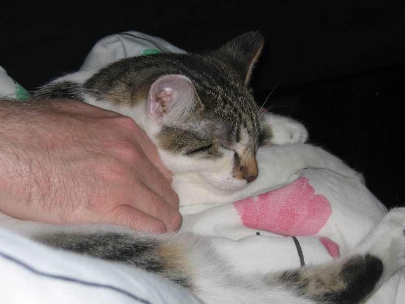 Sleepy Mirabelle