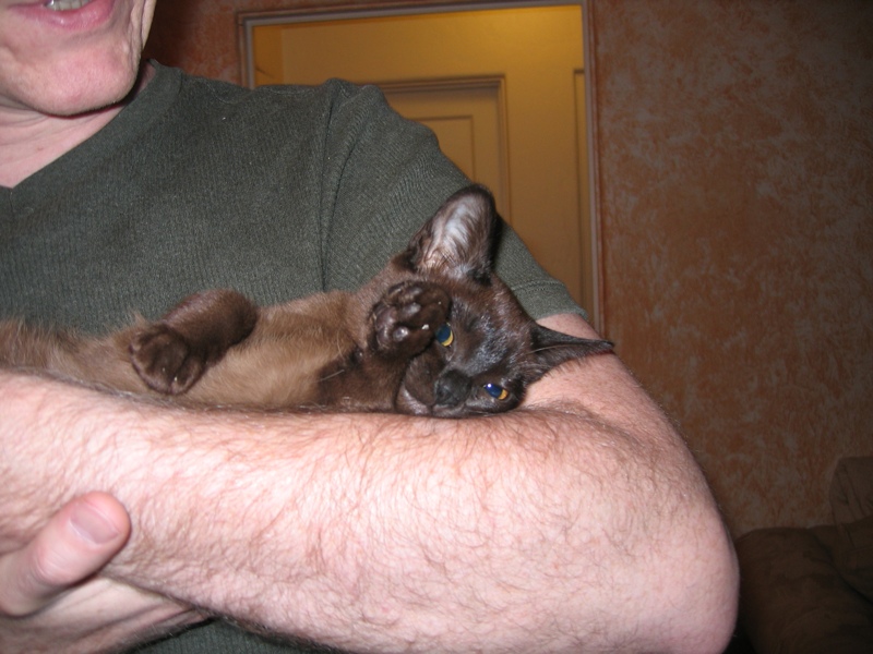 Sylvie in Carl's arms