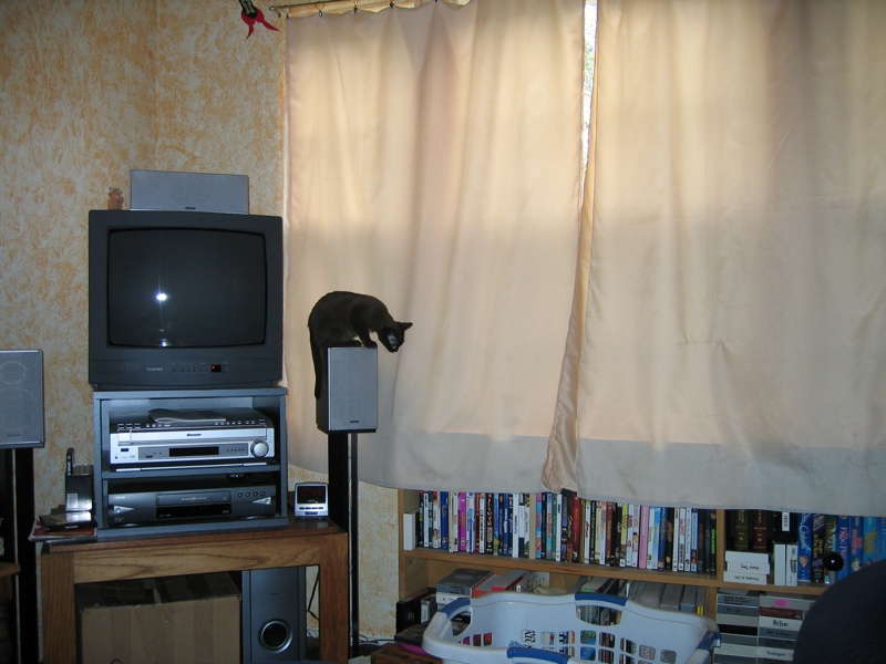 Speaker perch, part 1