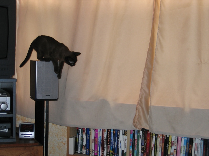 Speaker perch, part 2