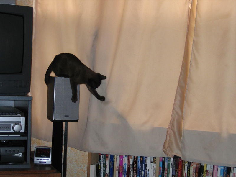 Speaker perch, part 3