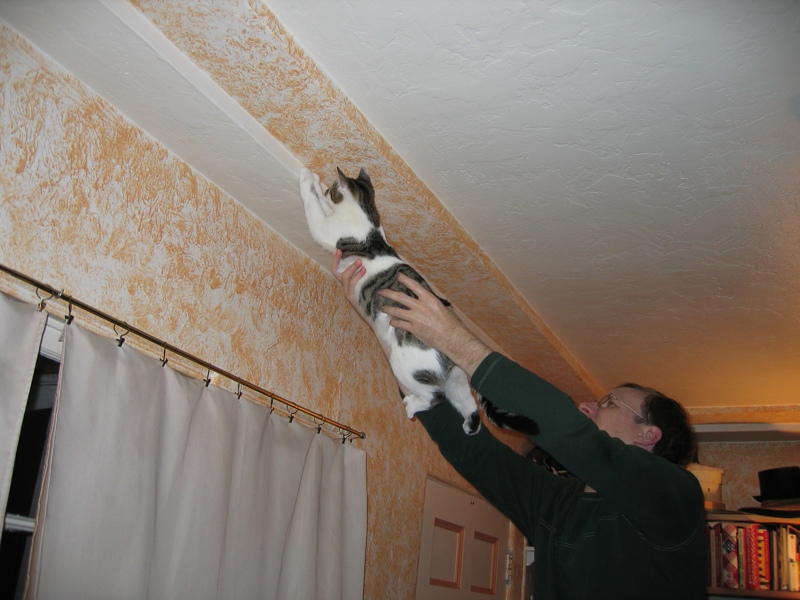Moth Hunt