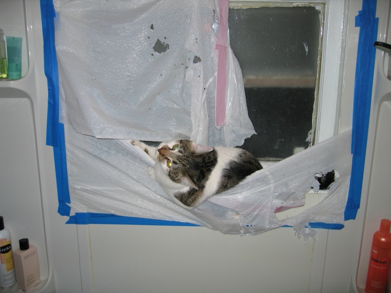 Window treatment, part 2