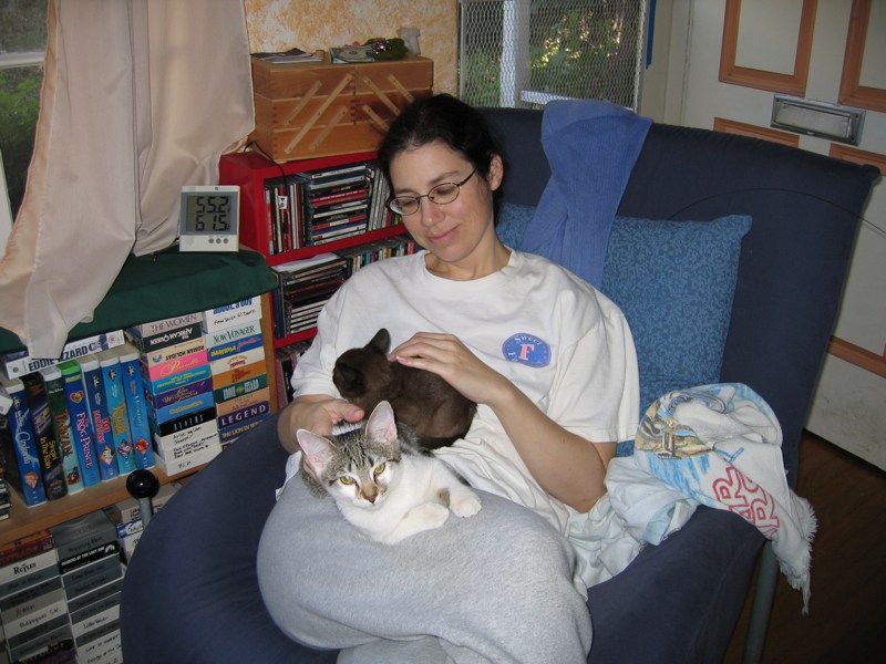 Lap kitties