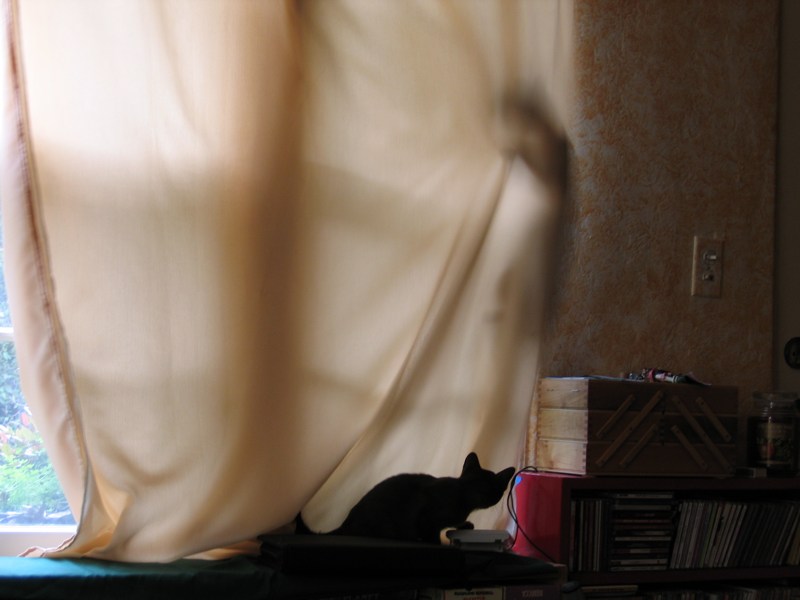 Playing with curtains
