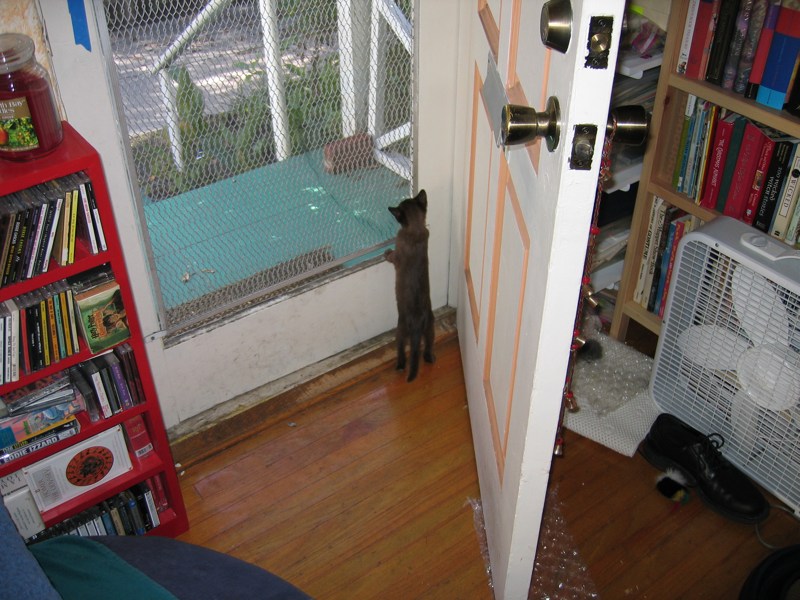 Sylvie gets tall (1)