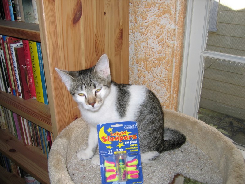 Mirabelle's favorite prey (3)