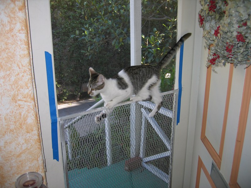 Mirabelle climbs