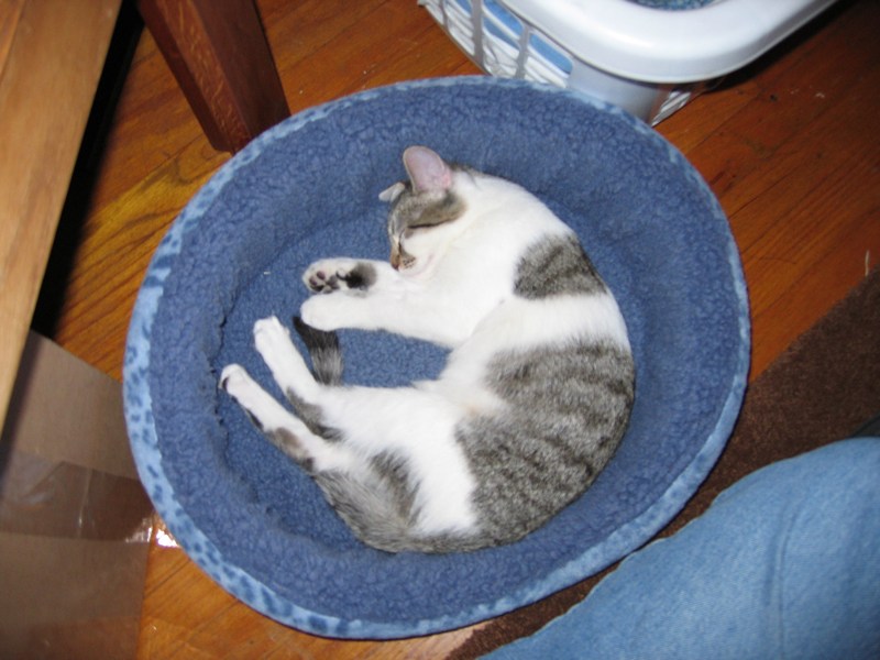 Another circle