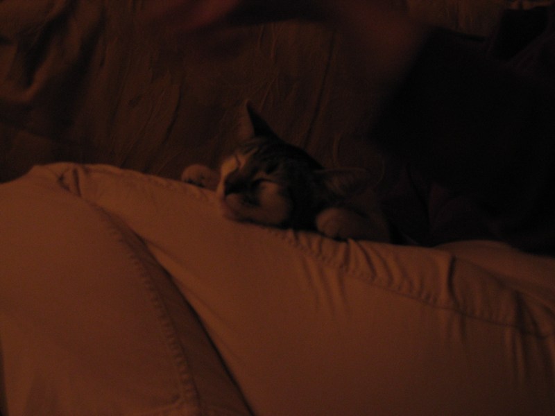 Sleeping MIrabelle
