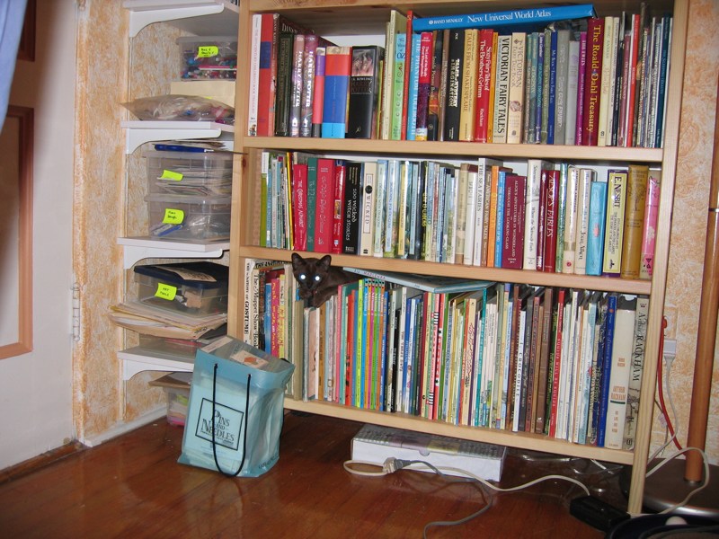 Literary Sylvie (1)