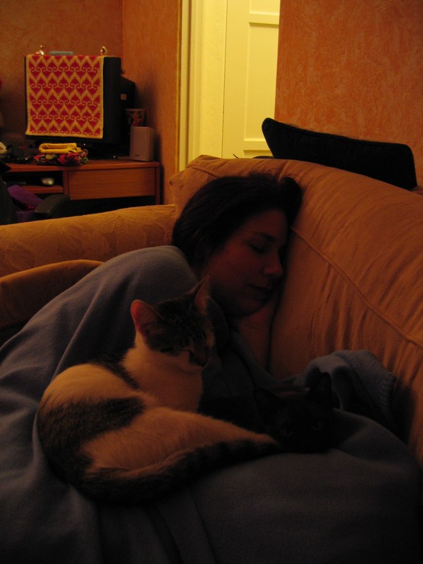 Napping on the couch
