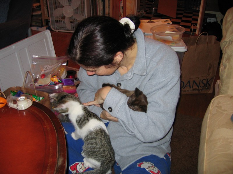 Helping Elinor